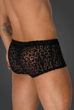 Laden Sie das Bild in den Galerie-Viewer, Herrenpants Collection Alpha H072