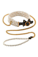 Load image into Gallery viewer, NEU Leuchtende Perlen-Leine und Halsband