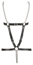 Load image into Gallery viewer, NEW Leather harness set