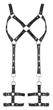 Load image into Gallery viewer, NEW Leather harness set