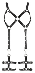 NEW Leather harness set
